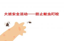 大班安全防止蚊蟲叮咬PPT課件