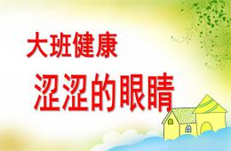 大班健康澀澀的眼睛PPT課件
