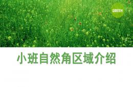 幼兒園小班自然角區(qū)域介紹PPT課件