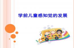 幼兒園學前兒童感知覺的發展PPT課件