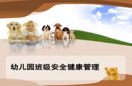 幼兒園班級安全健康管理PPT課件