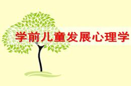 幼兒園學前兒童想象的發展案例PPT課件