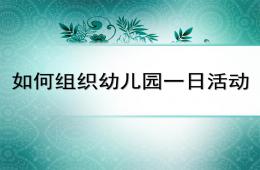 如何組織幼兒園一日活動PPT課件