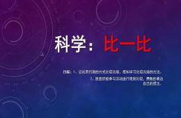 小班科學活動比一比PPT課件