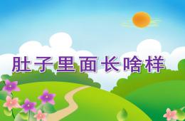 小班科學肚子里面長啥樣PPT課件視頻音樂