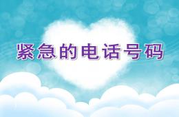 中班社會(huì)活動(dòng)緊急的電話號(hào)碼PPT課件配音音樂(lè)
