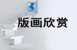 大班藝術(shù)美術(shù)：有趣的版畫PPT課件