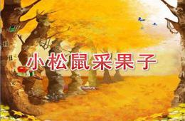 幼兒園語言小松鼠采果子PPT課件