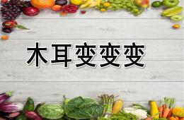 小班科學木耳變變變PPT課件