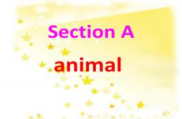 小動物的英語單詞PPT課件