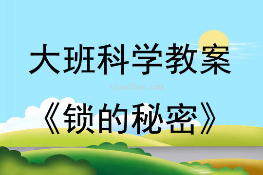 大班科學活動鎖的秘密教案反思