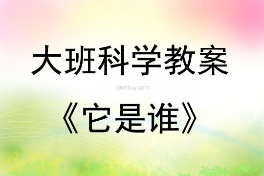 大班科學活動教案：它是誰教案(附教學反思)