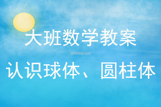 大班數學活動認識球體、圓柱體教案反思