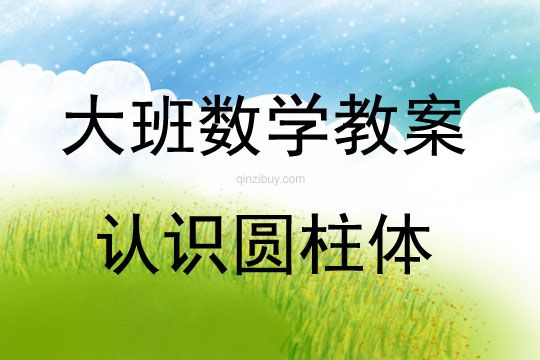 大班數(shù)學(xué)活動(dòng)認(rèn)識(shí)圓柱體教案反思