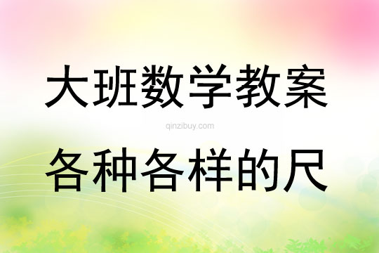 大班數學活動各種各樣的尺教案反思