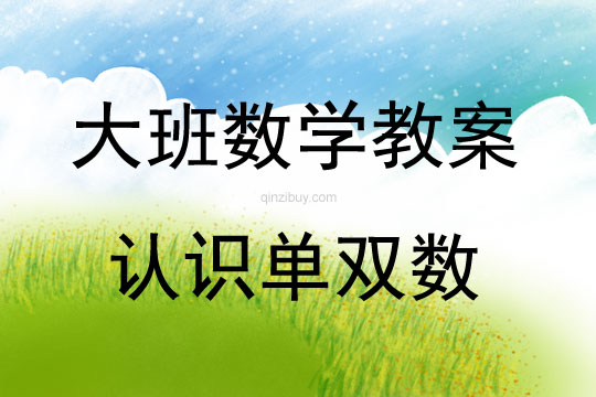 大班數學認識單雙數教案反思