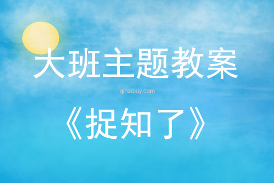 大班主題活動捉知了教案反思