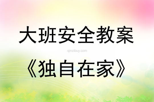 大班安全獨自在家教案反思
