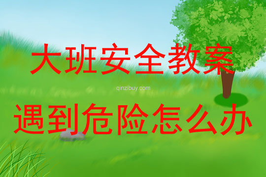 大班安全遇到危險(xiǎn)怎么辦教案反思