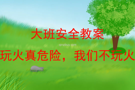 大班安全玩火真危險(xiǎn)，我們不玩火教案反思