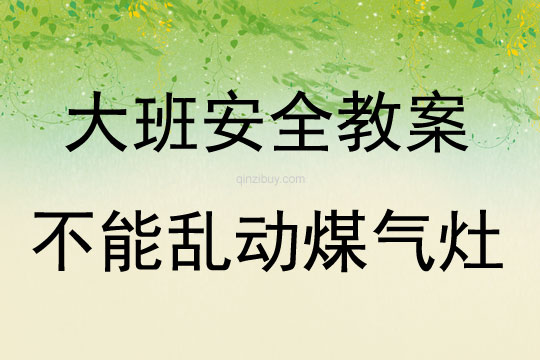 大班安全不能亂動煤氣灶教案反思