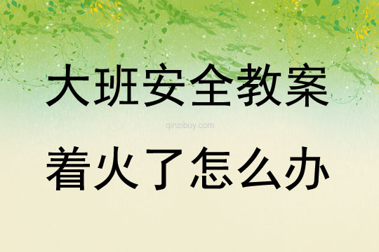 大班安全著火了怎么辦教案反思