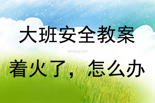 大班安全活動“著火了，怎么辦?”教案反思