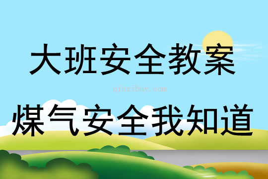 大班安全煤氣安全我知道教案反思