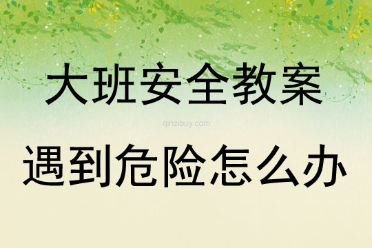 大班安全活動教案：遇到危險怎么辦教案(附教學反思)