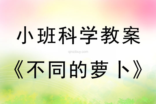 小班科學：不同的蘿卜小班科學教案：不同的蘿卜