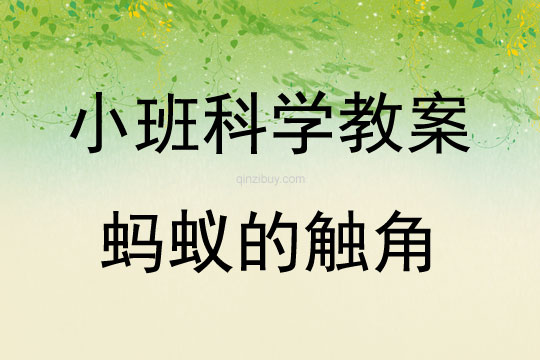 小班科學教案:螞蟻的觸角小班科學教案:螞蟻的觸角