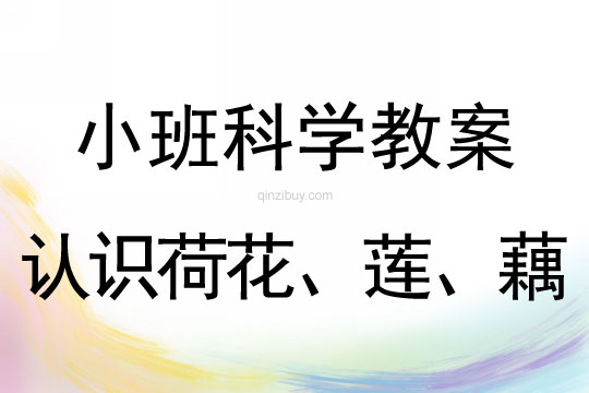 小班科學教案：認識荷花、蓮、藕小班科學教案：認識荷花、蓮、藕