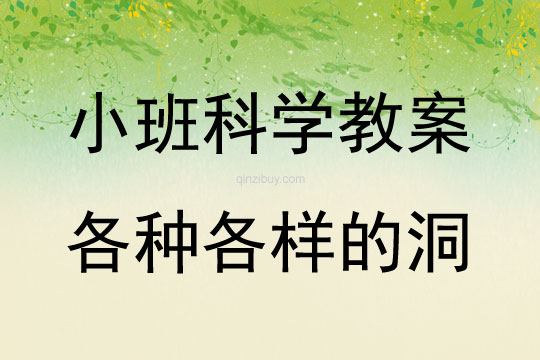 幼兒園小班科學教案：各種各樣的洞小班科學教案：各種各樣的洞