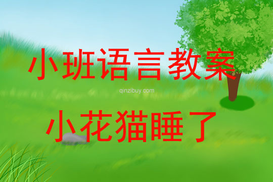 小班語言教案：小花貓睡了小班語言教案：小花貓睡了