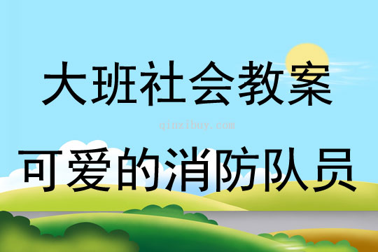 大班社會活動可愛的消防隊員教案反思