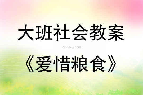 大班社會活動教案：愛惜糧食教案