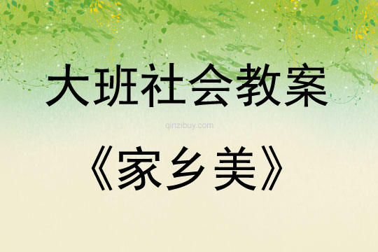 大班社會家鄉美教案反思