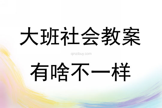 大班社會有啥不一樣教案反思