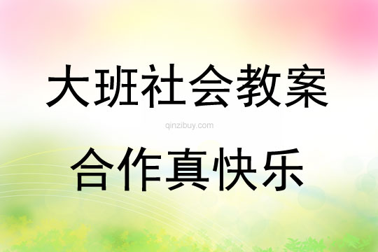 大班社會合作真快樂教案反思
