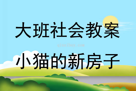 大班社會(huì)活動(dòng)小貓的新房子教案反思