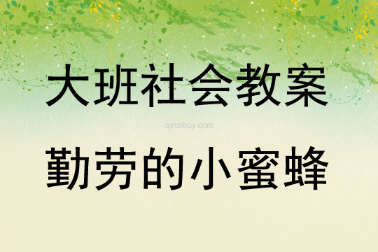 大班社會活動教案：《勤勞的小蜜蜂》教案(附教學反思)