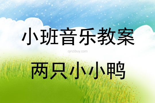 小班音樂活動兩只小小鴨教案反思