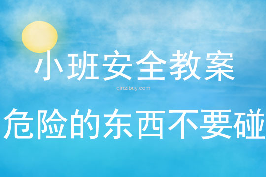 小班安全危險的東西不要碰教案反思