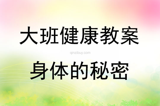 大班健康身體的秘密教案反思