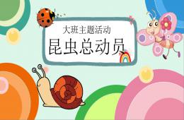 大班主題活動昆蟲總動員PPT課件