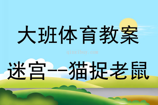 大班體育游戲活動迷宮-貓捉老鼠教案反思