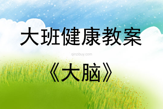 大班健康活動教案：大腦教案