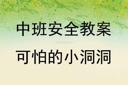 中班安全可怕的小洞洞教案反思