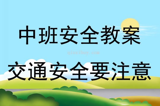 中班安全交通安全要注意教案反思