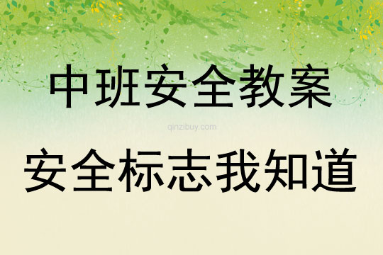 中班安全活動安全標志我知道教案反思